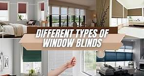 Different Types Of Window Blinds | Guide 2023