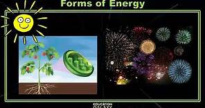 4th Grade - Science - Forms of Energy - Topic Overview