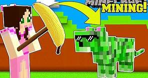 Minecraft: MINING SIMULATOR!!! (MINE DIAMONDS & GET EXTREME PETS!) Modded Mini-Game