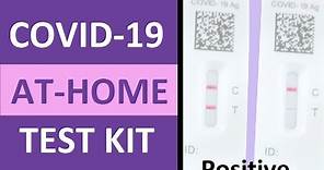 How to Take a COVID-19 Antigen Home Test Flowflex | Positive vs Negative COVID-19 Test