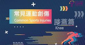 [醫生講場] 常見運動創傷 – 膝蓋篇與前十字韌帶復康運動