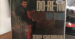 tony sheridan and the beat brothers - my babe (polydor)