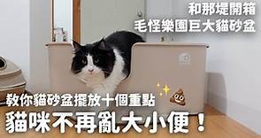 貓咪不再亂大小便！訓練師教你貓砂盆擺放十個重點｜和那堤開箱：毛怪樂園巨大貓砂盆 EP107