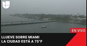 🌧 EN VIVO: Llueve sobre Miami. La ciudad está a 75°F