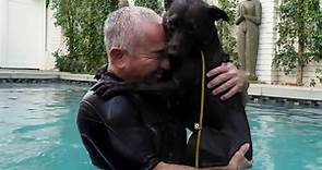 Cesar Millan: Better Human Better Dog (TV Series 2021– )