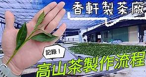 製茶 |高山茶製作過程 |「香軒製茶廠」Production of Taiwan High Mountain Tea