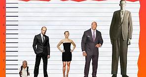 How Tall Is Jason Statham? - Height Comparison!