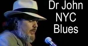 Dr John LIVE - New York City Blues