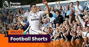 Dazzling Goals | Premier League 2012/13 | Bale, Michu, van Persie