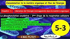 La phosphorylation oxydative 3ème étape de la respiration la chaîne respiratoire 2bac(شرح بالداريجة)