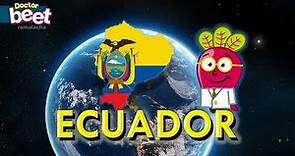 🇪🇨 MAPA DEL ECUADOR Paises del Mundo Provincias Capitales