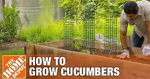 How to Grow Cucumbers | Planting Cucumbers | The Home Depot