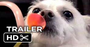The Three Dogateers Official Trailer 1 (2014) - Dean Cain, Richard Riehle Canine Adventure Movie HD