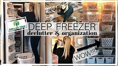 Deep Freezer Declutter and Organization | Dollar Tree Organization Ideas