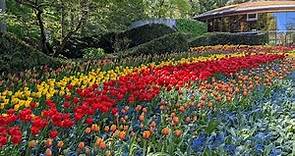 The Beauty Of Butchart Gardens On Vancouver Island in British Columbia, Canada