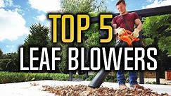 ▶️ Best Leaf Blowers & Leaf Vacuums in 2017