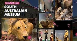 South Australian Museum Tour | Adelaide, South Australia