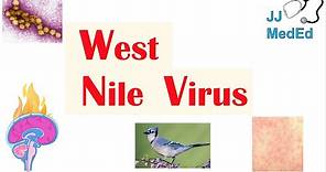 West Nile Virus (West Nile Encephalitis): Pathogenesis, Symptoms, Diagnosis, and Treatment