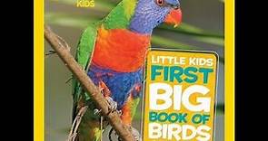 Ms. Alex reads Little Kids First Big Book Of Birds