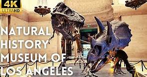 Natural History Museum of Los Angeles County. 4K Virtual Walking Tour.