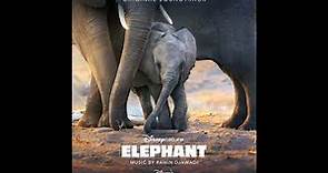 Elephant - Ramin Djawadi - An Unforgettable Journey
