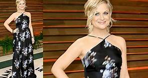 Fake News: Amy Poehler Look-Alike Facing A 1,036 Years Sentence For Infecting Officers With STD