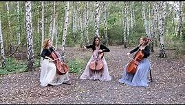 Der Erlkönig - Franz Schubert for cello trio