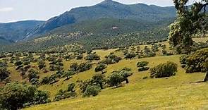Paisajes de España Castilla-La Mancha/ Landscapes of Spain. Castile-La Mancha