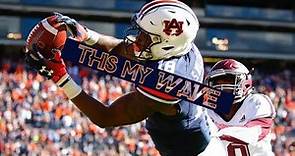 Darius Slayton || College Highlights || "This My Wave" || Auburn Tigers