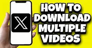 How To Download Multiple Twitter Videos In One Tweet (Quickly)