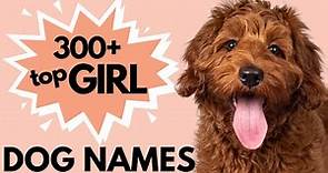 300+ Unique Female Dog Names | Girl Dog Names