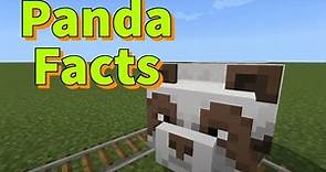 Minecraft: Panda Facts
