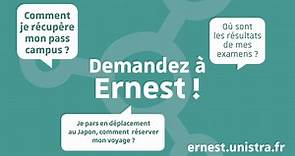 Ernest, le nouvel environnement numérique et social de travail de l’Université de Strasbourg