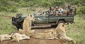 AFRICAN SAFARI 4K | Incredible Big Five animal sightings (Kruger National Park)