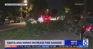 Santa Ana winds fuel fires, topped trees in Los Angeles area