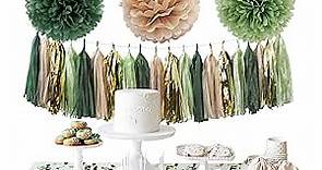 AOBKIAT Sage Green Wedding Party Decorations,28 PCS Tissue Paper Pom Poms,Circle Dots Garland Paper Tassels Hanging Backdrop for Girl Women Birthday,Bridal Baby Shower,Boho Wedding Party Supplies
