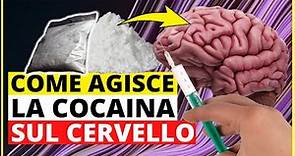 Come agisce la cocaina sul cervello? Meccanismo d'azione della cocaina sul cervello | Droghe