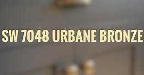 Urbane Bronze Sherwin Williams | COLOR OF THE YEAR 2021