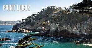 Point Lobos State Natural Reserve: Exploring 4 of the Park's Best Trails