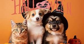 🎃🐾 Get Ready for a... - The Granville Island Pet Treatery