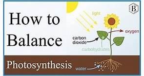 Equation for Photosynthesis (Word Equation and Balancing)