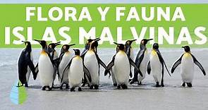 Flora y Fauna de las Islas MALVINAS