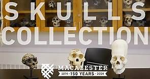 Macalester College’s skull cast collection spans millennia