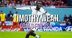 Timothy Weah • All Goals for USA