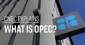 What is OPEC? | CNBC Explains