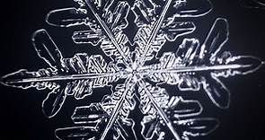 Vyacheslav Ivanov Creates Time-Lapse of Snowflakes Forming