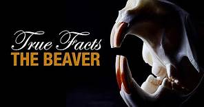 True Facts: The Beaver