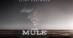 The Mule (2018) Movie || Clint Eastwood, Bradley Cooper, Laurence Fishburne || Review and Facts