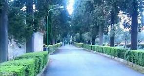 The Via Appia Antica (Appian Way) Rome - What To Expect