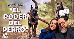 Salmo 22:20 ¿Cuál es “el poder del perro”?